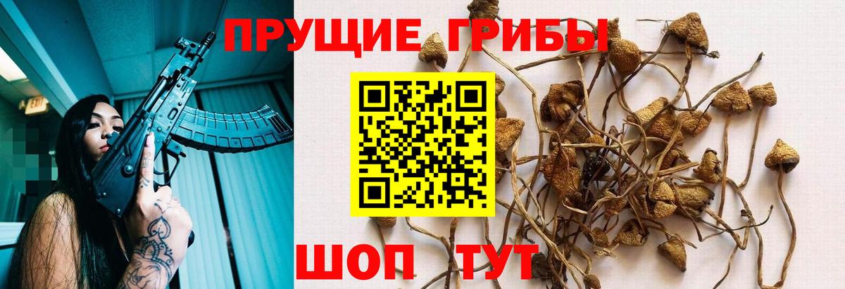 Псилоцибиновые грибы MAGIC MUSHROOMS  Псилоцибиновые грибы Magic Shrooms  Краснодар  Вход с VPN 