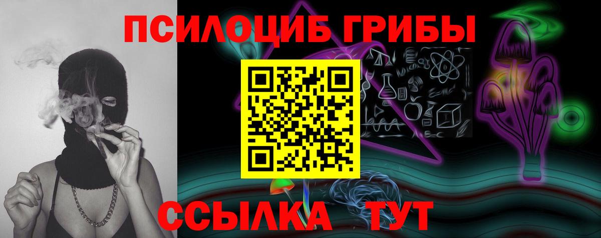 Псилоцибиновые грибы Psilocybine cubensis Краснодар
